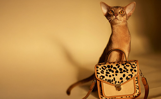 Leopard leather handbag