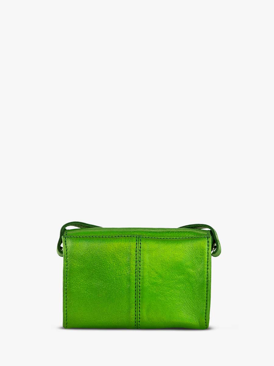shoulder-bag-for-woman-green-rear-view-picture-le-mini-indispensable-absinthe-paul-marius-3760125353708