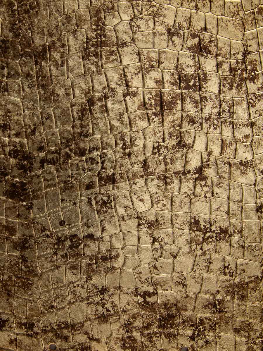 purse-legustave-bijoux-gold-focus-material-view-clp-cr-db-g