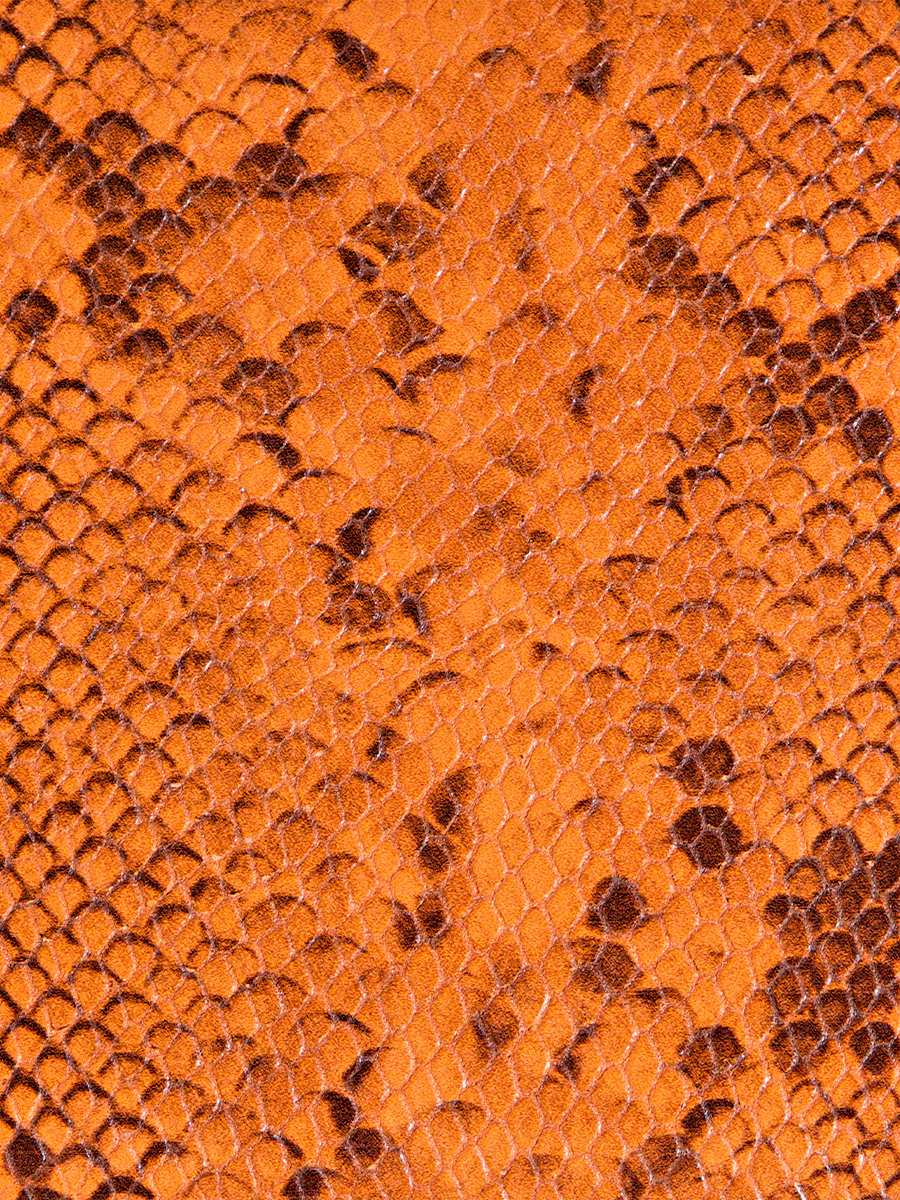 Amber python wallet Valentine Python - Amber inside view