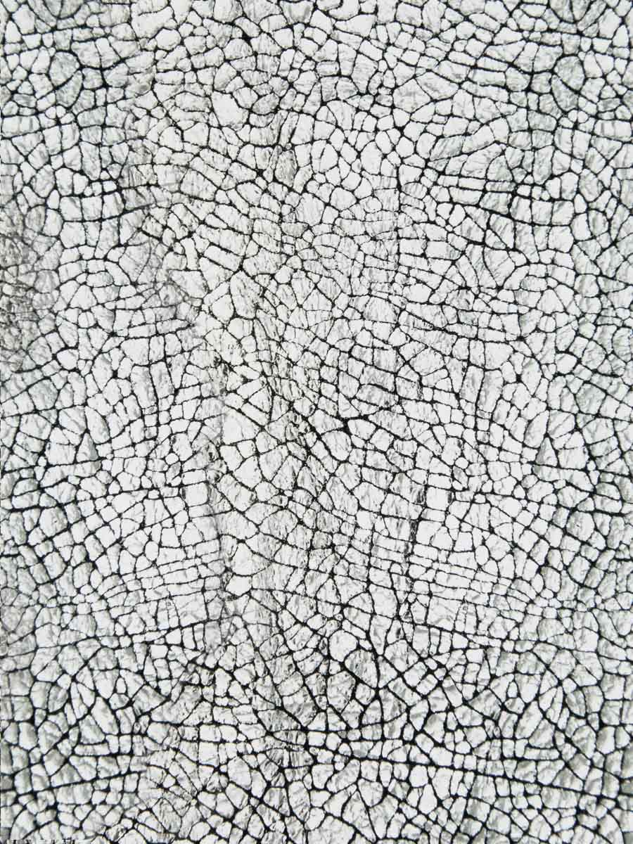 card-holder-leporte-cartes-gabin-miroir-silver-focus-material-view-m55-mir