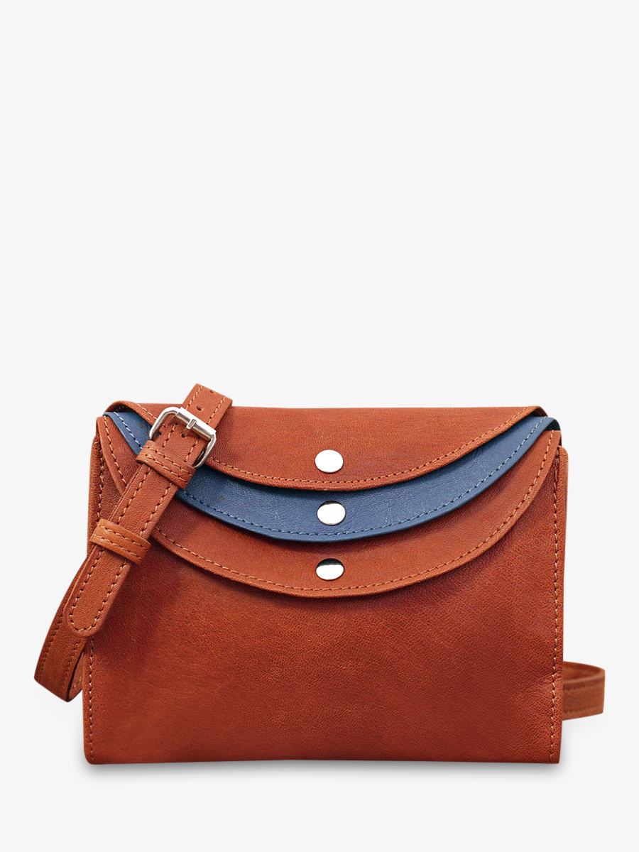 shoulder-bags-for-women-brown-blue-front-view-picture-laminaudiere-light-brown-blue-paul-marius-3760125330938