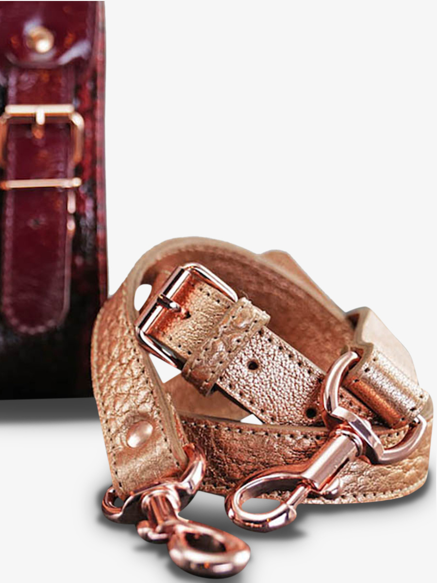 leather-shoulder-bag-for-woman-rear-view-picture-lerive-gauche--s-paul-marius-3760125342054